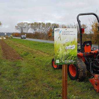 Plantation de fruitiers aux abords de la piste cyclable