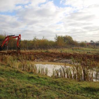 Travaux de préservation des mares