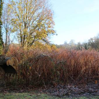 Sondages du sol au Clos aux roses