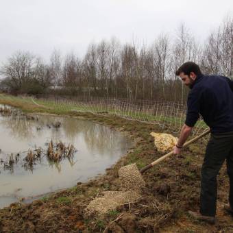 Aménagement des mares : des zones micro-habitats