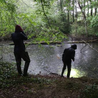 Je croa...sse que l'on m'observe !