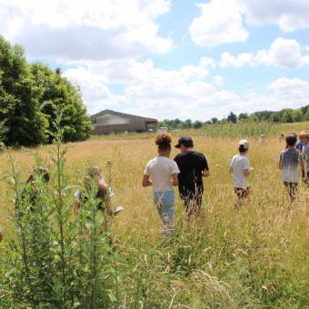 Passeport du civisme  Environnement dans les prairies Magnycoises