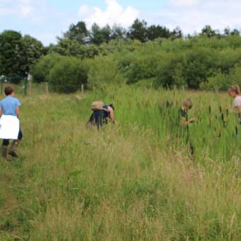Participation à l’inventaire amphibien de la mare de la ferme de la closeraie