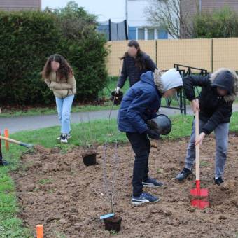 Projet pilote Bosqu'haie