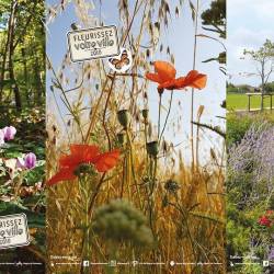 Concours Maisons et Balcons Fleuris 2018