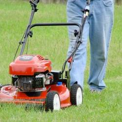 Tondeuse à gazon