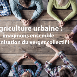 Agriculture urbaine : imaginons ensemble l'organisation du verger collectif !