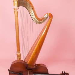 Harpe et violoncelle