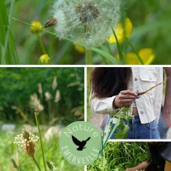 Parcours comestibles