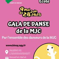 AFFICHE GALA DANSE AFE25