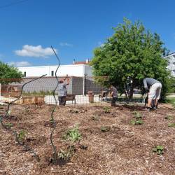 Structures métalliques - jardin permaculture