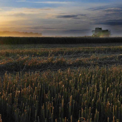 51R-VP-1R-Palaiseau-DSC_6611+c+_1224x829