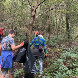 Ramassage des déchets