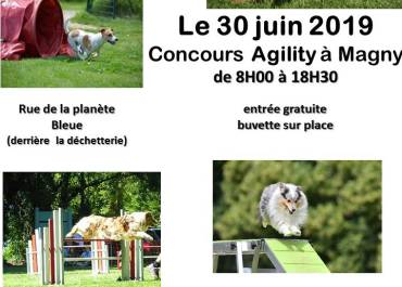 Concours annuel d'agility