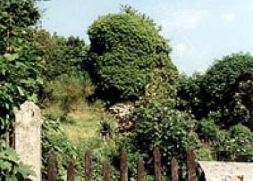 Château fort de Magny-les-Hameaux - Donjon