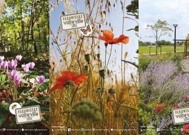 Concours Maisons et Balcons Fleuris 2018