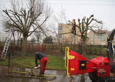 Des travaux d’élagage