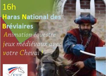 Jeux médiévaux au Haras