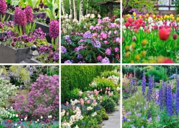 Bon plan pour fleurir son jardin !