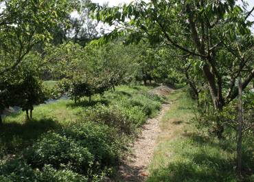 Comme au Bec Hellouin