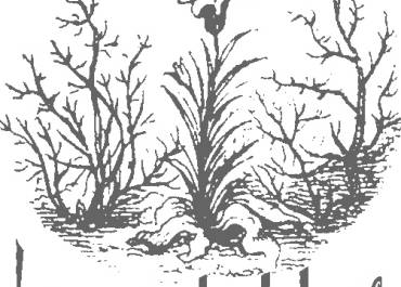 Les amis du dehors, amis du musée national de Port-Royal des Champs