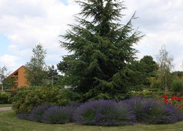 Salle de recueillement