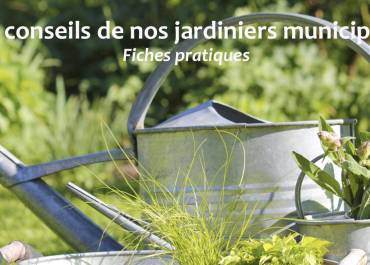 Conseils des jardiniers
