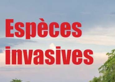 Espèces invasives