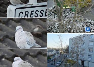 Concours photo "Magny-les-Hameaux de ma fenêtre"