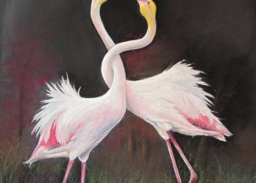 Jeanne Mercier - Flamands Roses