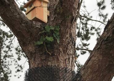 Nichoirs à Magny-les-Hameaux