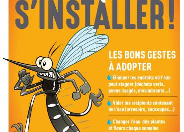 Ne laissons pas le moustique tigre s'installer