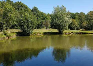 Etangs de pêche de Romainville