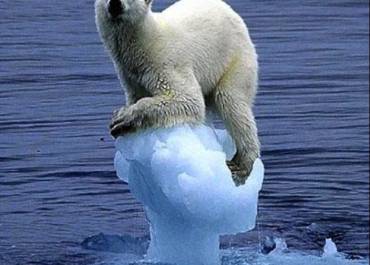 Réchauffement climatique