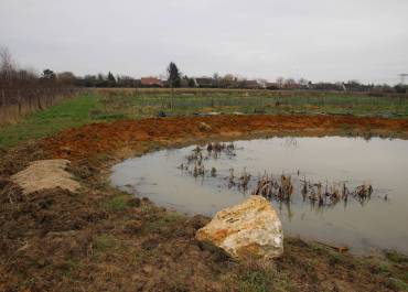 Mares : des zones de micro-habitats