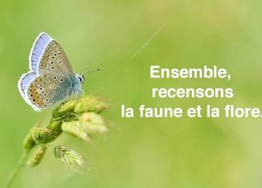 Ensemble, recensons la faune et la flore