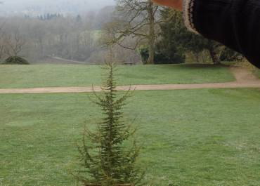 Chasse aux oeufs à Port Royal