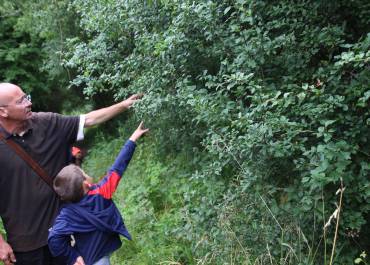 Animation plantes commestibles