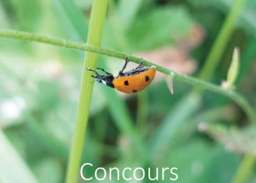 Concours photos faune et flore locales