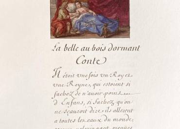 La belle au bois dormant