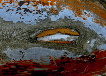 Exposition Traversées