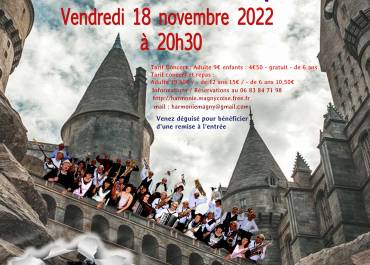 Affiche du concert