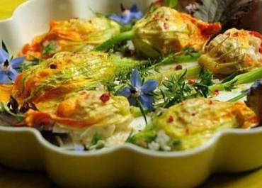 Fleurs de courgettes facies