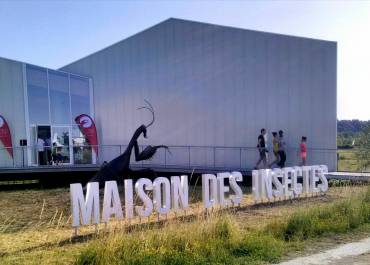 Maison des insectes