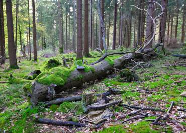 Pour vous donner les grandes lignes, nous aborderons le concept de ce "Défisports", pourquoi avoir décidé de l’organiser, le public visé, présenter les différents sports proposés, si cet événement est important pour la commune.