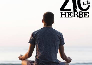 Atelier de sophrologie Zice en Herbe