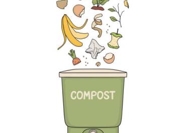 Compost