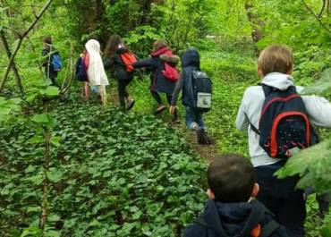 balade en forêt