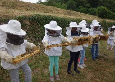 Les enfants apiculteurs