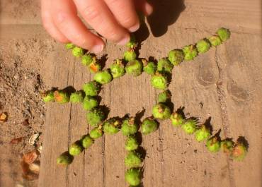 Ville Verte - Land art